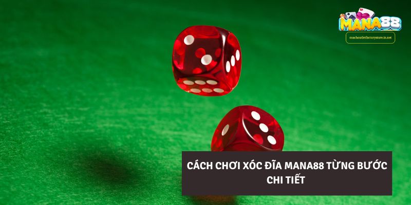 Dealer hoặc hệ thống xóc đĩa