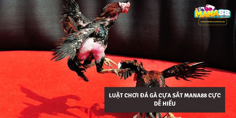 Luật chơi Đá Gà Cựa Sắt Mana88 cực dễ hiểu