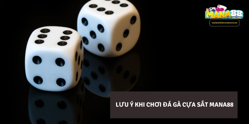 Lưu ý khi chơi Đá Gà Cựa Sắt Mana88